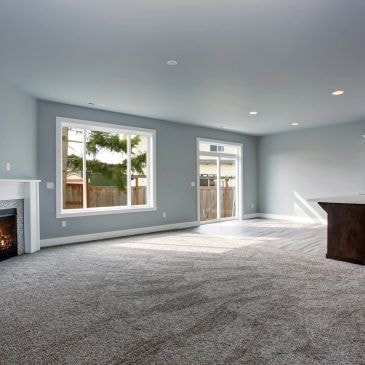 Carpet cleaning work photo 6