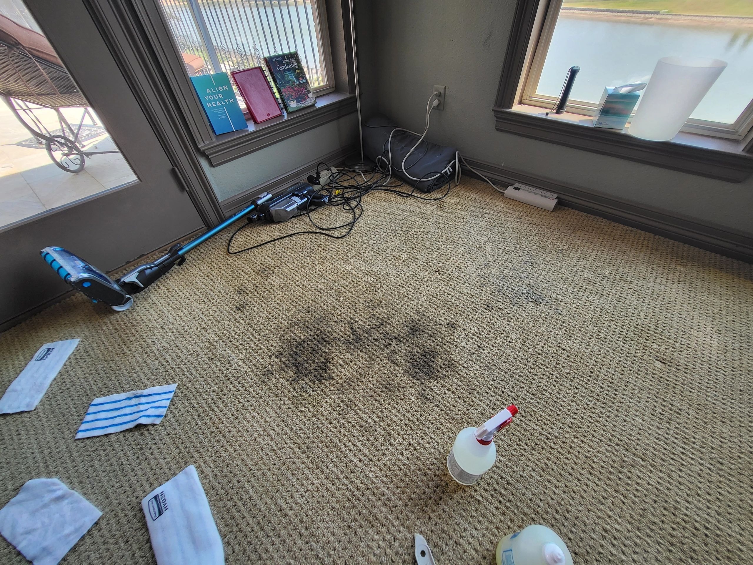 Carpet cleaning work photo 3